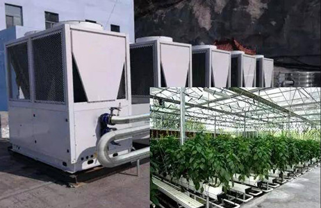 農業大棚采暖有新招，空氣源熱泵再獲佳話